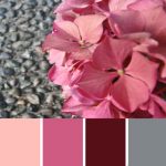 Pink Hydrangea Palette c-098 Premo