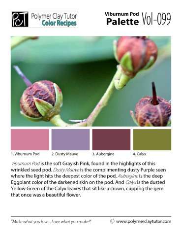 Viburnum Pod Palette c-099 Premo