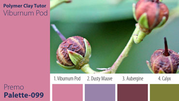 Viburnum Pod Palette c-099 Premo