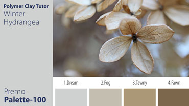 Winter Hydrangea Palette c-100 Premo