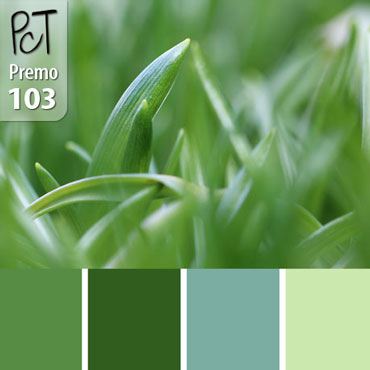 Erv?s Spring Grass Palette c-103 Premo