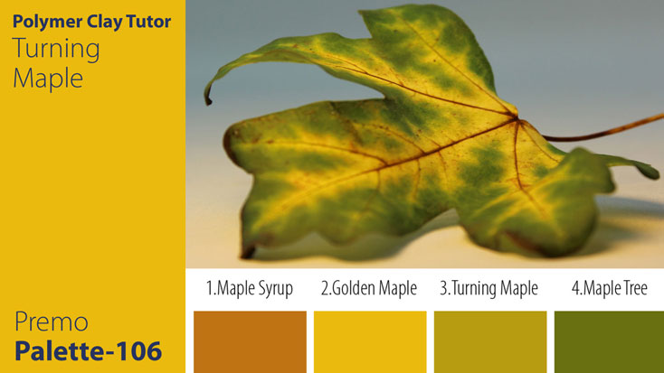 Turning Maple Palette c-106 Premo