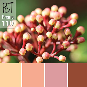 Budding Artist Palette c-110 Premo