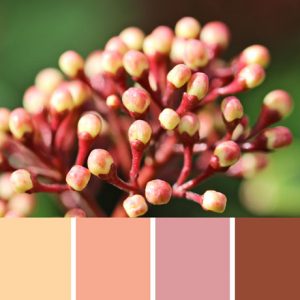 Budding Artist Palette c-110 Premo