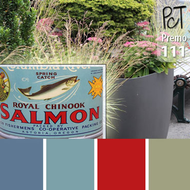 Cannery Palette c-111 Premo