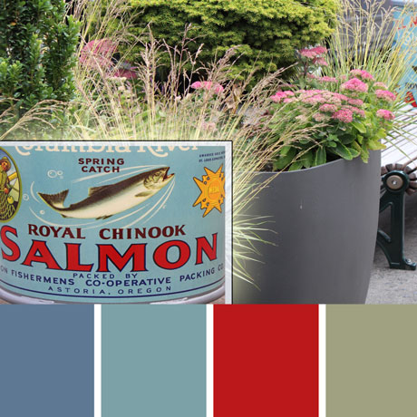 Cannery Palette c-111 Premo