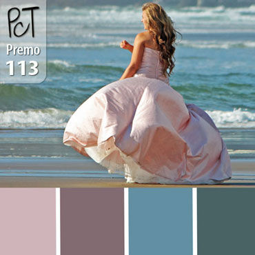Beauty On The Beach Palette c-113 Premo