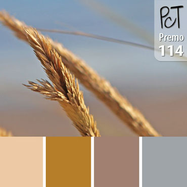 Beach Grass Palette c-114 Premo