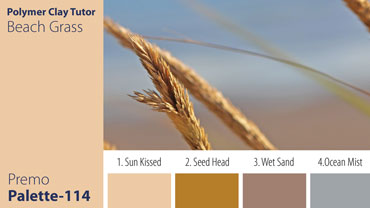 Beach Grass Palette c-114 Premo