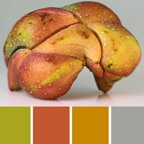 Odd Seed Pod Palette c-115 Premo