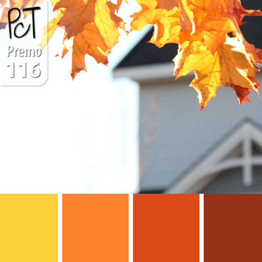 Golden Leaves Palette c-116 Premo