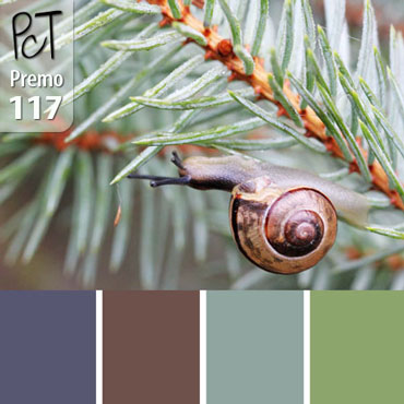 Out On A Limb Palette c-117 Premo