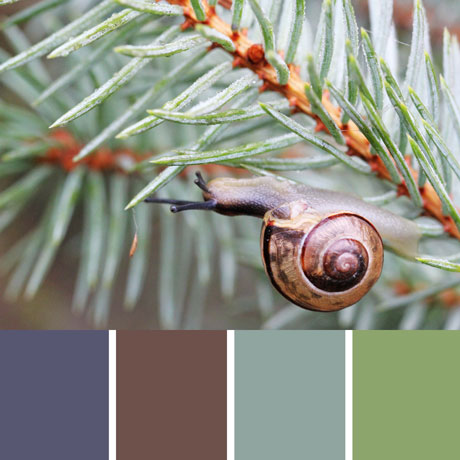 Out On A Limb Palette c-117 Premo