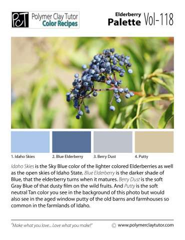 Elderberry Palette c-118 Premo