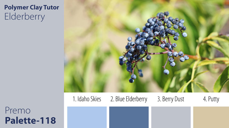 Elderberry Palette c-118 Premo