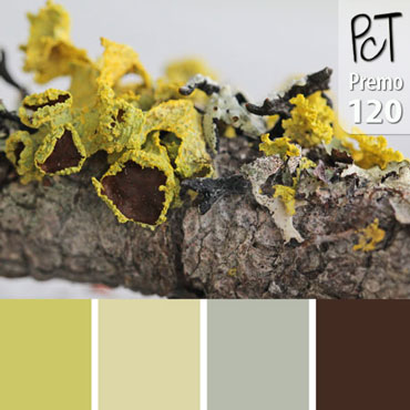 Lichen Branch Palette c-120 Premo