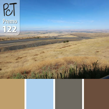 Idaho Fields Palette c-122 Premo
