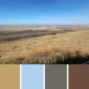 Idaho Fields Palette c-122 Premo