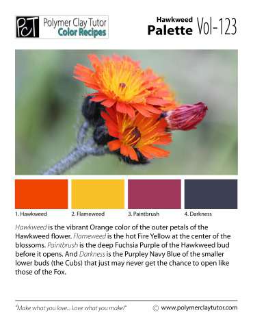 Hawkweed Palette c-123 Premo