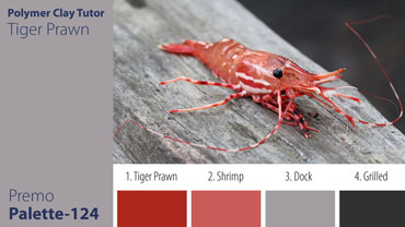 Tiger Prawn Palette c-124 Premo