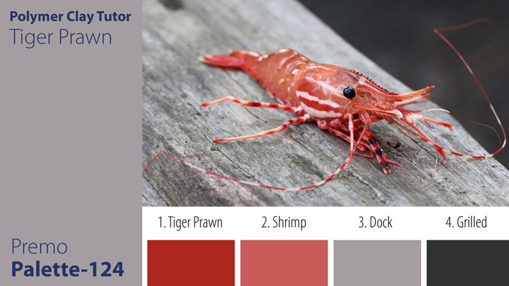 c-124 Tiger Prawn Palette Premo Tiger Prawn Palette c-124 Premo
