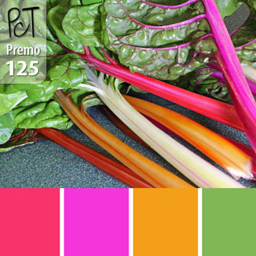 Swiss Chard Palette c-125 Premo