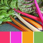 Swiss Chard Palette c-125 Premo
