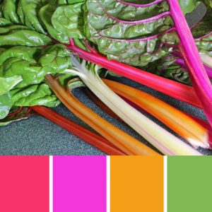 Swiss Chard Palette c-125 Premo
