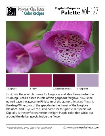 Digitalis Purpurea Palette c-127 Premo