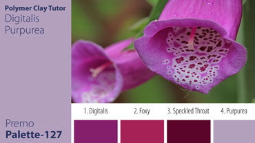 Digitalis Purpurea Palette c-127 Premo