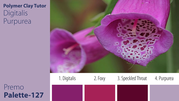 Digitalis Purpurea Palette c-127 Premo