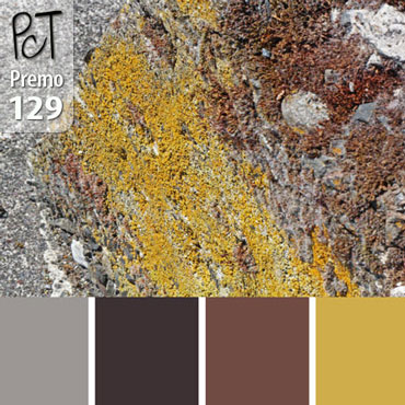 Encrusted Concrete Palette c-129 Premo