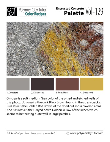 Encrusted Concrete Palette c-129 Premo