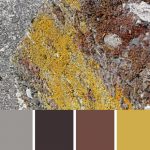 Encrusted Concrete Palette c-129 Premo