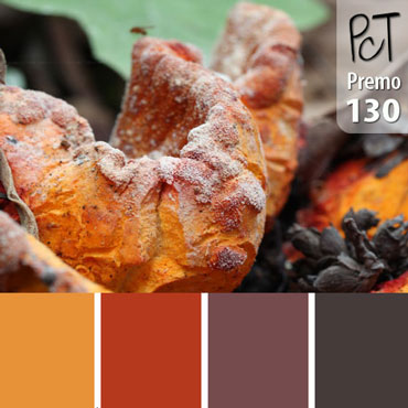 Poisonous Mushroom Palette c-130 Premo