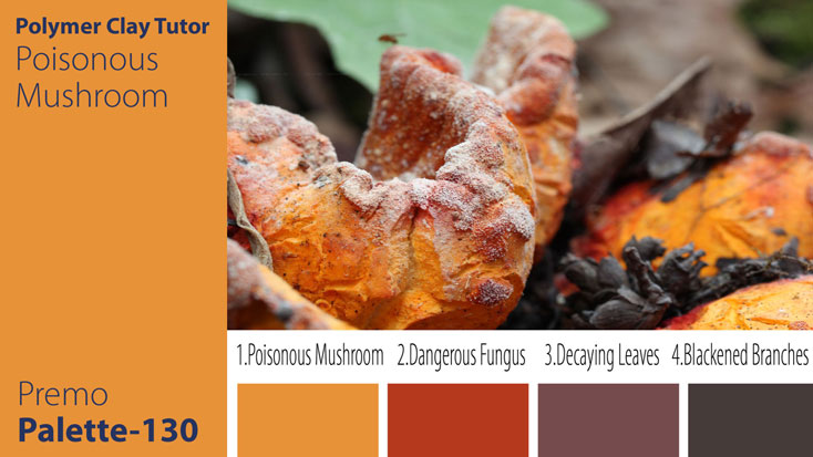 c-130 Poisonous Mushroom Palette Premo Poisonous Mushroom Palette c-130 Premo