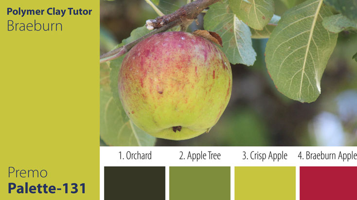 c-131 Braeburn Apple Palette Premo