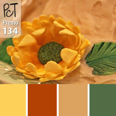 Carrot Cake Palette c-134 Premo