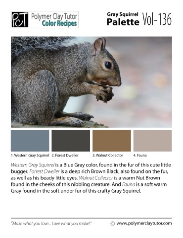 Gray Squirrel Palette c-136 Premo