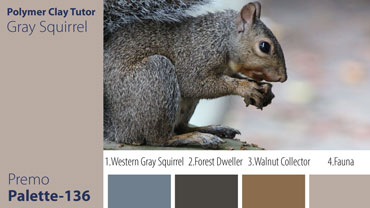 Gray Squirrel Palette c-136 Premo