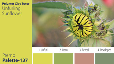 Unfurling Sunflower Palette c-137 Premo