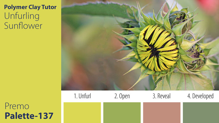 Unfurling Sunflower Palette c-137 Premo