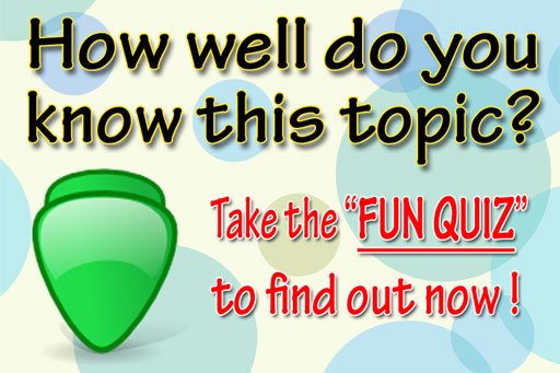 2008-03-03-photo-transfer-fun-quiz Photo Transfer Fun Quiz