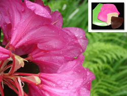 2008-06-08-mixing-polymer-clay-spring-colors-2008-06-06-004