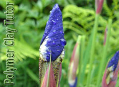 2008-08-29-blue-iris-color-recipe-2008-06-06-009
