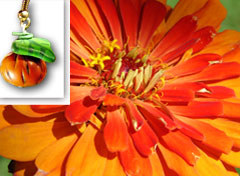 2008-09-11-pumpkin-2008-09-08-zinnia-2007-08-27