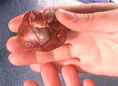 2008-09-13-scrap-clay-90025