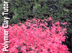 2008-09-24-fall-colors