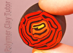 2009-02-12-rose-brain-cane-2009-02-06-060