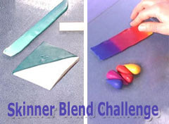2009-02-19-skinner-blend-challenge